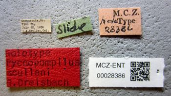 Media type: image;   Entomology 28386 Aspect: labels